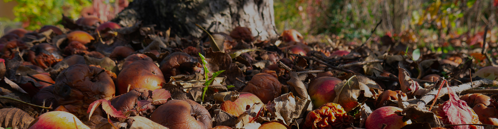 Zemědělství na rozcestí